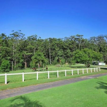 Cabin Country Retreat Paskins Farm Palmwoods Eksteriør bilde