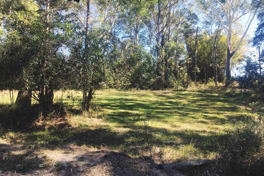 Cabin Country Retreat Paskins Farm Palmwoods Eksteriør bilde