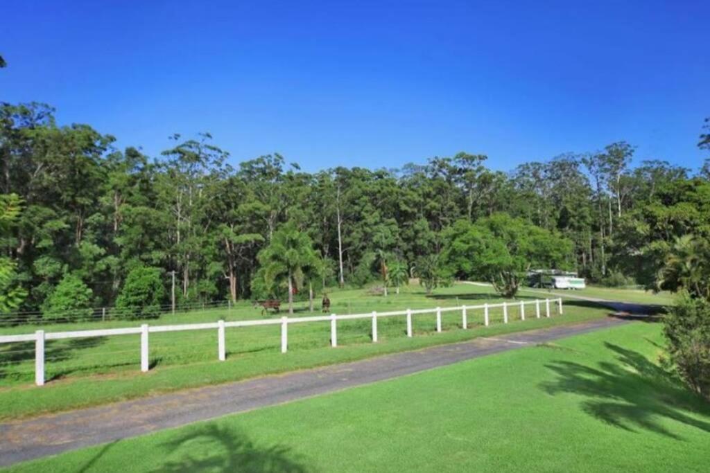 Cabin Country Retreat Paskins Farm Palmwoods Eksteriør bilde